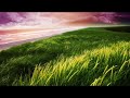 Ost Projek Memikat Suami Buatmu Cinta_full Song With Lyrics images Ost Projek Memikat Suami Buatmu Cinta_full Song With Lyrics