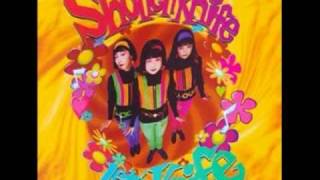 Watch Shonen Knife Tortoise Brand Pot Scrubbing Cleaners Theme green Tortoise video