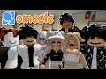 Omegle on Roblox Gone Terrible (Neighbors)