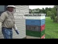 Honey Bee Apiary Official inspection by the PA Dept  of Agriculture