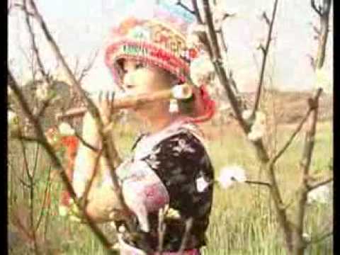 Hmoob Suav Tshuab Raj 苗民歌曲 Music Video