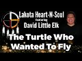 David Little Elk - Turtle Who Wanted To Fly - Lakota Heart-N-Soul