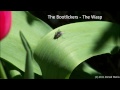 The Bootlickers - The Wasp