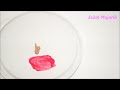 ميك اب يفك أزمات ! Emergency makeup "اسأل مجرب" bobbi brown ,MAC ,N07