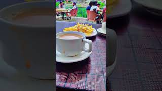 Cap Of Tea At Rakaposhi