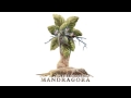 OVERCOLORED - MANDRAGORA