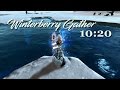 Winterberry Farm (10:20 min)