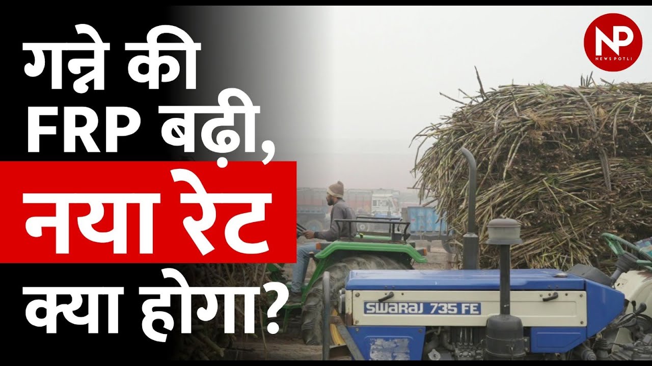 SUGARCANE FRP NEWS. Government increased FRP of sugarcane to Rs 25 SUGARCANE FRP NEWS. Government increased FRP of sugarcane to Rs 25