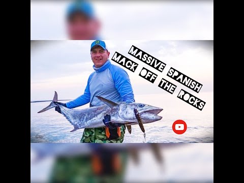 Land-Based Spanish Mackerel in the Persian Gulf with FFF Safaris