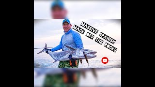 Land-Based Spanish Mackerel in the Persian Gulf with FFF Safaris