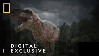 Hunting For Dinosaurs 70 Million Years On Hunting Alaskan Dinosaurs National Geographic Uk
