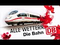 Alle wettern über die Bahn. Wir nicht!