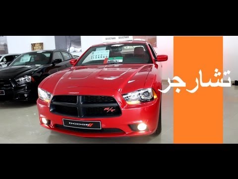Cynthia I Forex Trend