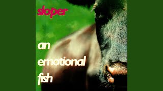 Watch An Emotional Fish It Belongs To The World video