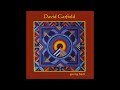 David Garfield - Tune For Tony