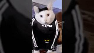How To Become Gopnik Step By Step