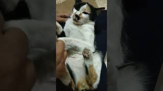 Tickling Tickling