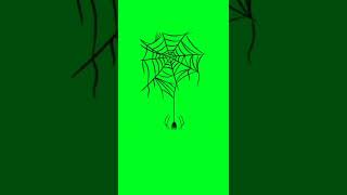Spider Man Web Animation Overlay Green Screen Effect