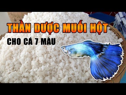 Trị bách bệnh cho 7 màu với muối hột