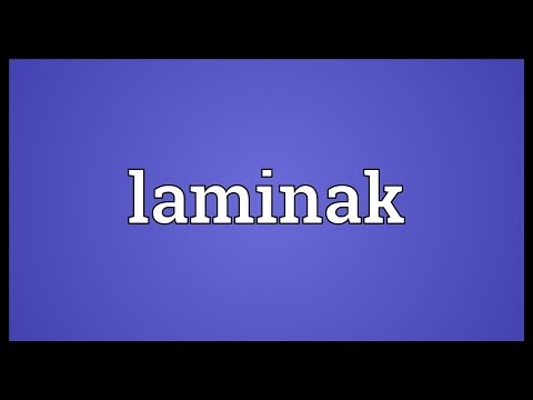 Header of laminak