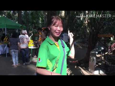 Vlog| 1 day เกาะคำชะโนด | สถานที่ท่องเที่ยวในจังหวัดอุดรธานี