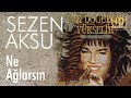 Sezen Aksu - Ne Ağlarsın (Official Audio)