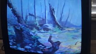 Closing To Bambi 1989 Vhs