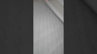 Hepinize Merhaba Arkadaşlar Ben Ceyda