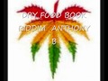 DRY FOOD BOOK RIDDIM VYBZ KARTEL STUDY THE WEED 0001