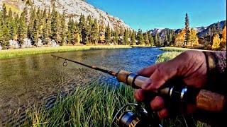 Stocked Trout Smashes Thomas Bouyant S Bishop Creek Canyon Eastern Sierra