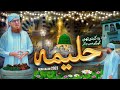 Ye Kehti Thi Ghar Ghar Mein Jakar Halima | Rabi-ul-Awwal Special 2023 | Abdul Habib Attari