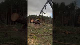 How To Move The Tree And Process It With The 1270G Harvester #Harvester #Automobile #Wood #Viral