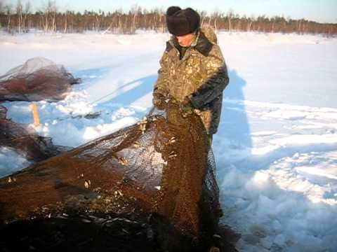 Донки на налима видео Донки на налима видео