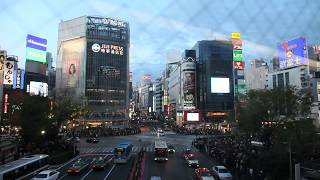 Video de una reciente visita a Tokio Japón (de AkiraReiko)