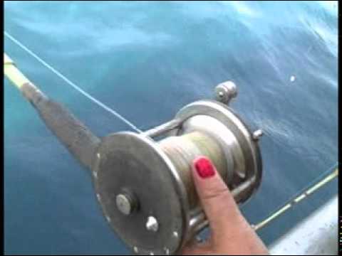 Panama City Beach Deep  Fishing on Panama City Beach Deep Sea Fishing Florida Queen Catch 5
