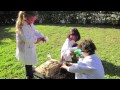Volcano Slideshow