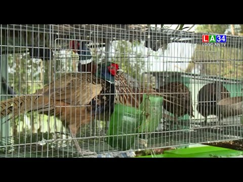 PS ĐỔI THAY Ở CHỢ NÔNG SẢN THẠNH HÓA 6/6/ 2021