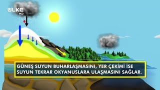 Bilim Bakalım 33. Bölüm - Su Döngüsü Nedir ve Nasıl Olur?