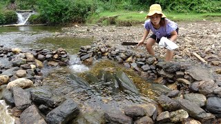 How To Make A Great Fish Trap - Stacking Fish Trap Stones - Great Results