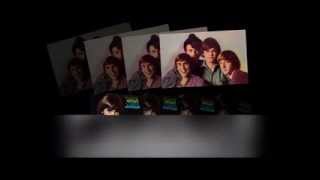 Watch Monkees Shake Em Up video