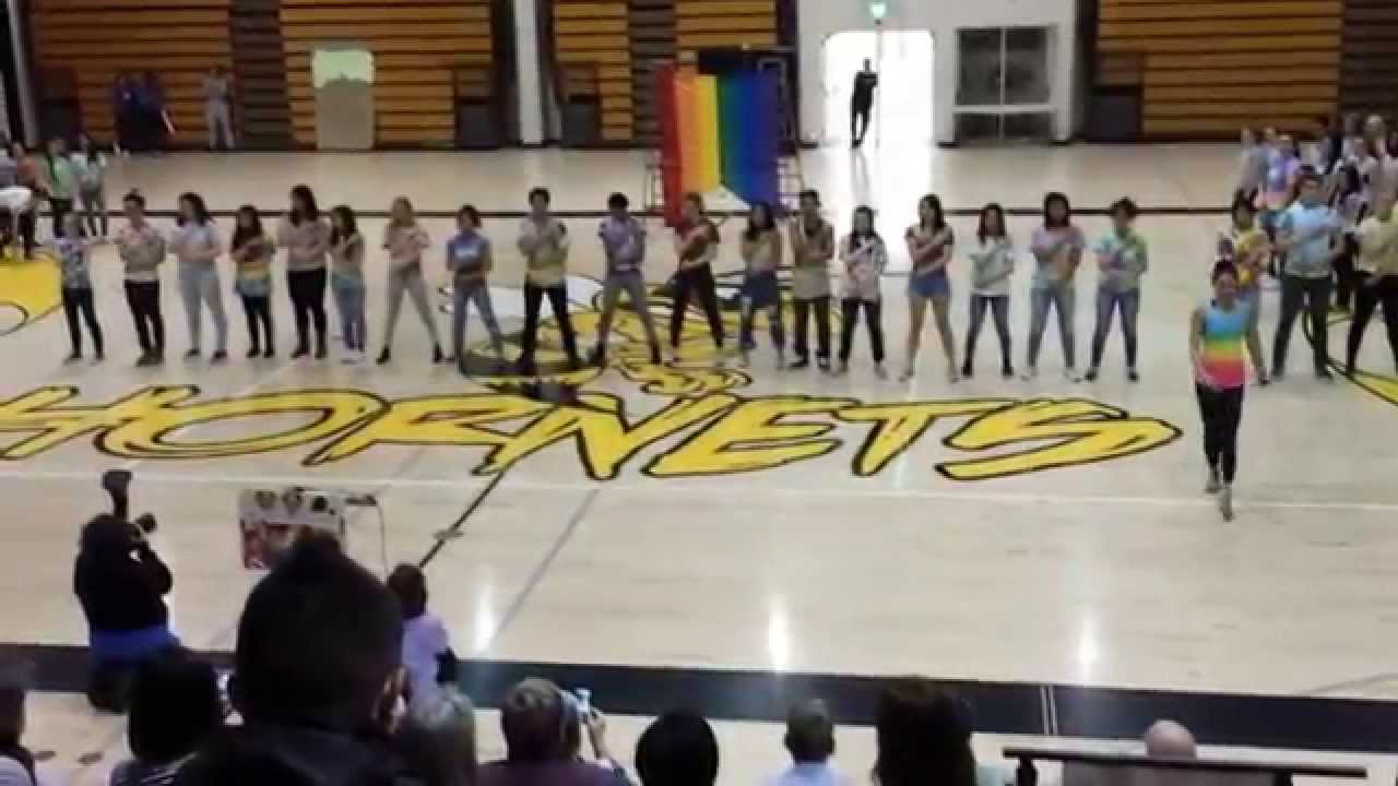 Essay Harvey Milk High School