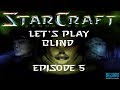 Let's Play Starcraft Brood War Blind - Episode 5 - Scouts are important
