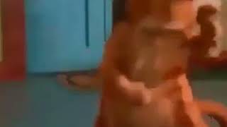Şemsettin Karnıma Vurdular Karnım Ağrıyor 2