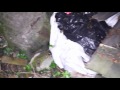 Exploring Haunted Abandoned House Goes Wrong Exploring Haunted Abandoned House Goes Wrong