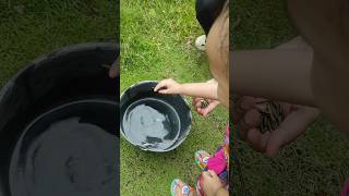 Joeceline Bermain Tanaman Jadul Bisa Meletup Ketika Kena Air