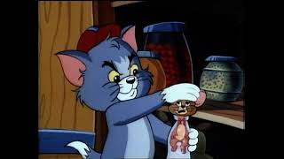 Tom And Jerry Kids 1990 Intro 90S Cartoon Nostalgia