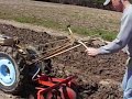 david bradley tractor