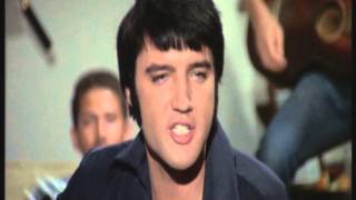 Watch Elvis Presley Rubberneckin video