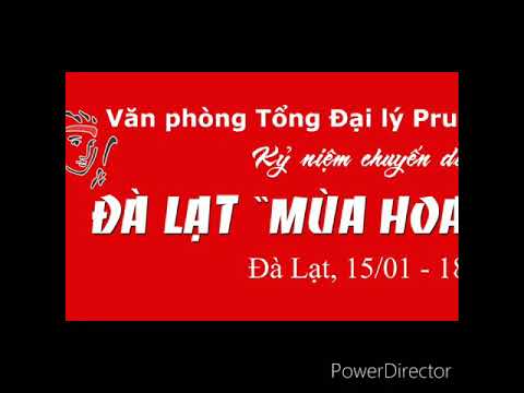 Tour Đà Lạt 4 ngày 3 đêm khởi hành từ Đà Nẵng