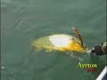 Video de Ayrton pesca - programa de pesca - veja mais! www.videospesca.com.br